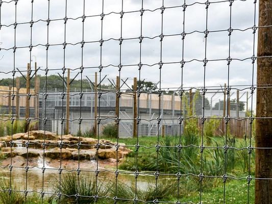 Cinturón de alambre galvanizado en caliente Alturas de cerca de 2 m Alta resistencia tejido