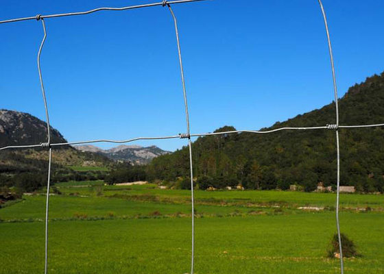 Cerca de alta resistencia Metal Wire Fence del campo de H2.4m para la granja y el pasto