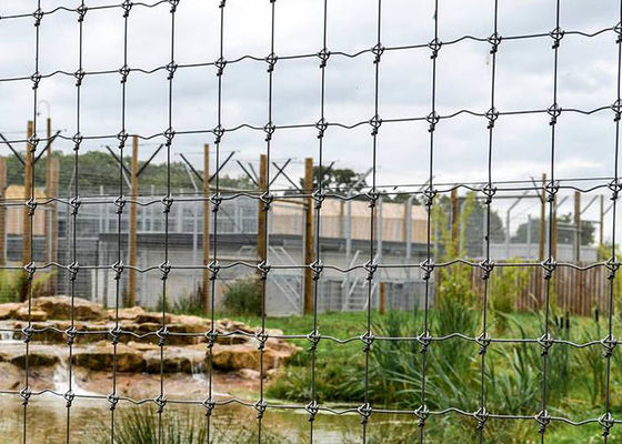 Cerca de alta resistencia Metal Wire Fence del campo de H2.4m para la granja y el pasto