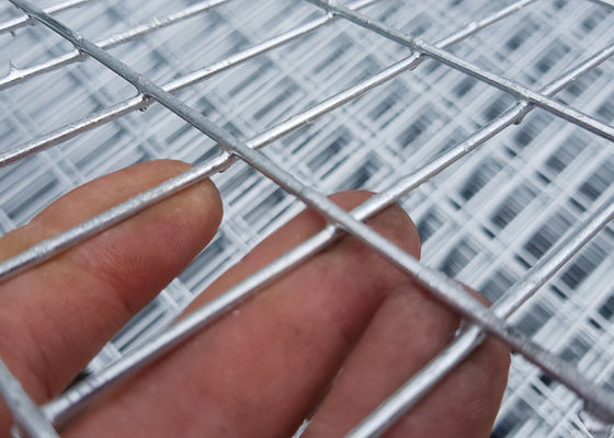 corrosión anti soldada con autógena 1.0m m gruesa de Mesh Panel High Tensile Strength del alambre de 0.5m m buena