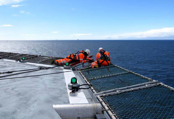 fuerza de alta resistencia neta de seguridad del helipuerto de la alambrada de 316L SS