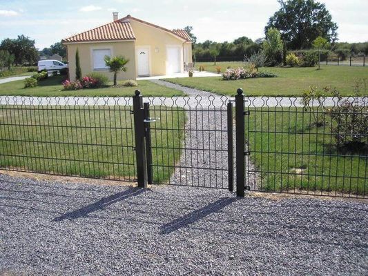 Prestige Mesh 868 Doble alambre de cerca 50 × 200 mm para la decoración