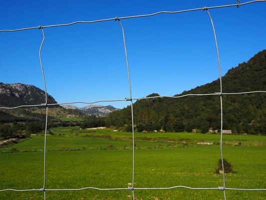 Cinturón de alambre galvanizado en caliente Alturas de cerca de 2 m Alta resistencia tejido
