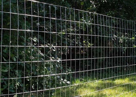 Cercas laminadas de alambre soldado galvanizado con malla de 2 x 4 pulgadas