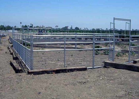 Recinto de caballo de alambre soldado con alta resistencia y seguridad