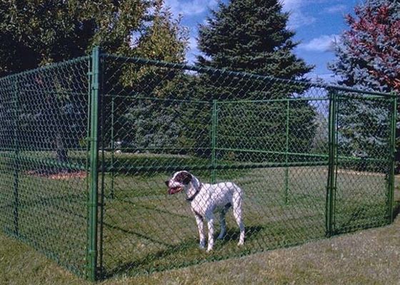 El Kennel para Perros de Malla de Alambre es Extraíble y Portátil a Varios Lugares