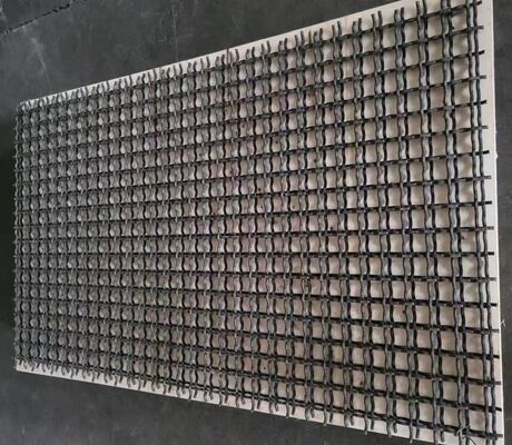El panel pegajoso mojado tejido que ciega del mineral de la abertura de la malla 870x1500m m 40m m del tamiz vibratorio